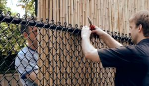 Attaching Bamboo to Chain Link Fence