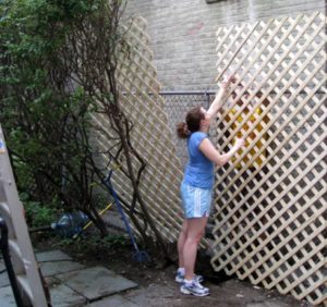 Wood Lattice Screen