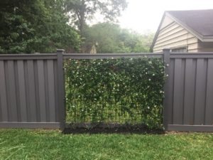 Vines Growing on Wire Mesh Panels with Winchester Grey Trex Fencing